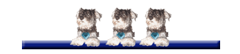 Scrapy